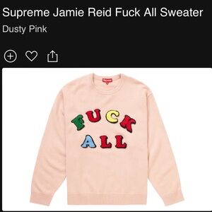 Supreme Marino Wool Pink Sweater